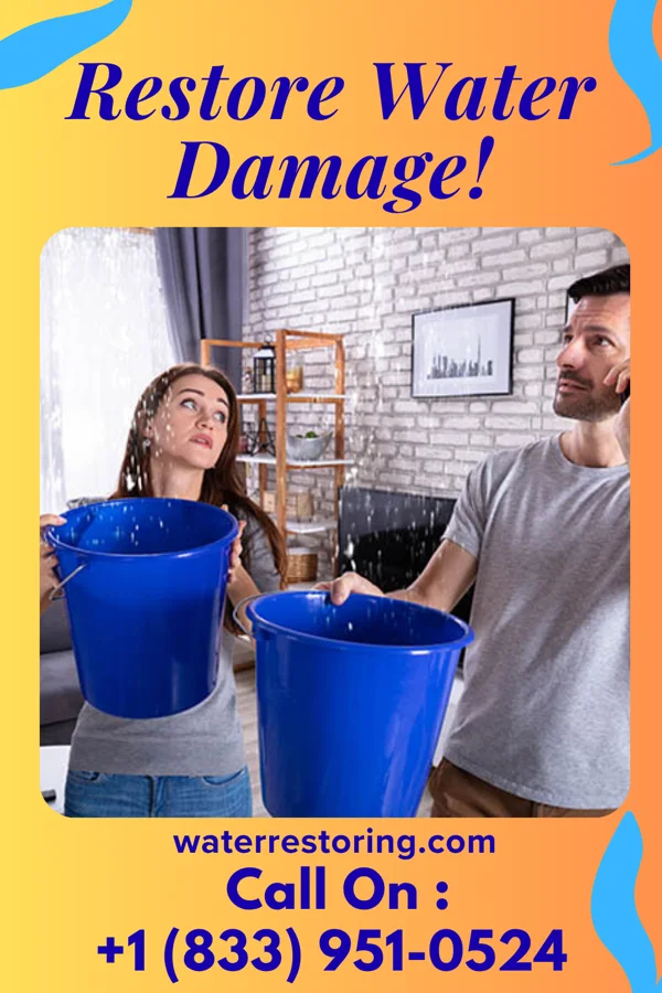 water restoration Pinnacle Water Repair LLC West Columbia