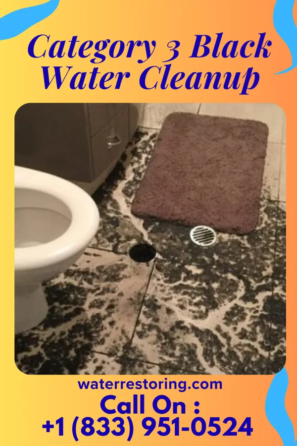 Category 3 Black Water Cleanup in West Columbia, SC