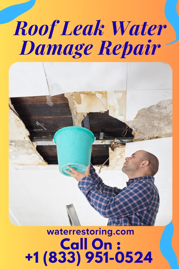 Roof Leak Water Damage Repair in West Columbia, SC